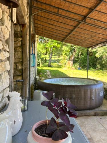 몽퀴 Les fontanelles du quercy blanc 4성급 게스트하우스 수영장