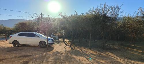 Antar Mouna in Cortaderas