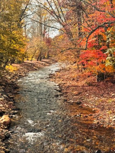 Cozy Creek Cottages