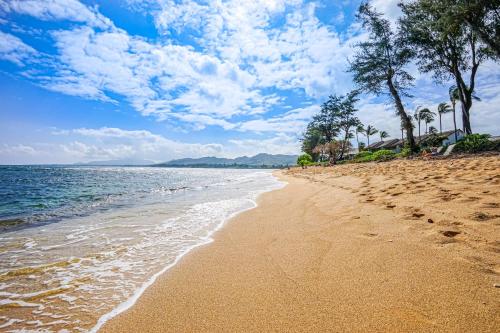Islander on the Beach - image 6