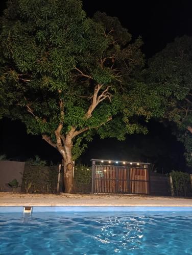 Mango Beach