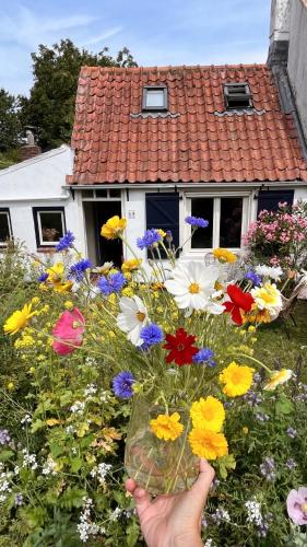  Little Secret Zeeland + ligbad, Unterkunft in Schoondijke