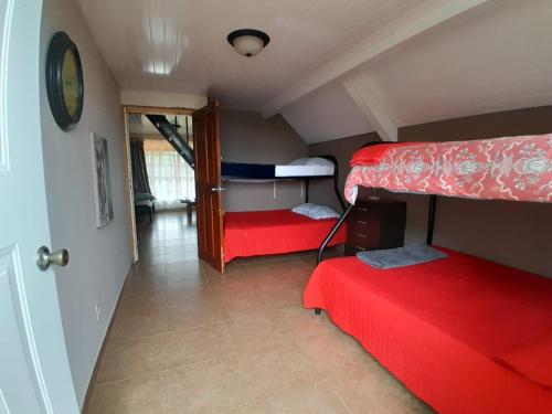 The Nest Rainforest Retreat in Cerro Azul