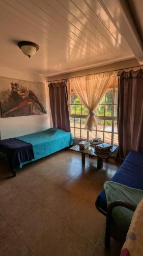 The Nest Rainforest Retreat in Cerro Azul