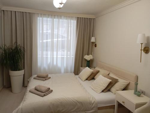 Apartment HOL
