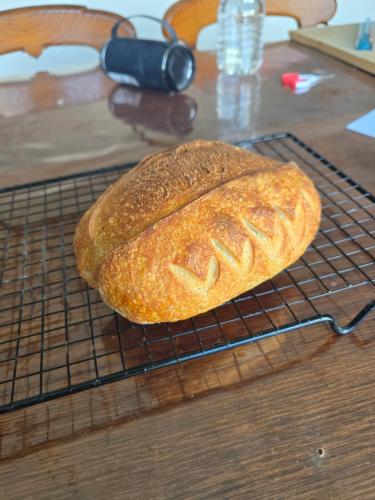 طعام و مشروبات, Urban Retreat near Hobart & Airport, Port Arthur in Midway Point