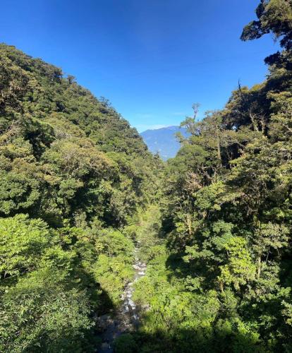 The Nest Rainforest Retreat in Cerro Azul
