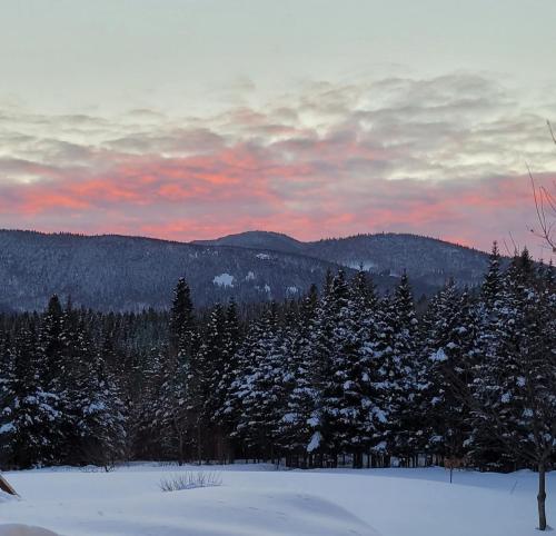 Kilátás, Coin cosy dans les bois in Ste Brigitte De Laval (QC)