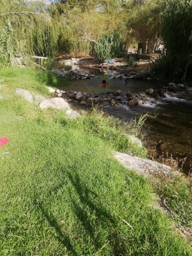 La cabaña del rio Rivadavia (La cabana del rio Rivadavia) in Vicuna