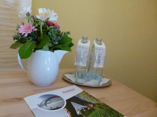 Hotel Fischachstubn – Bergheim, IA