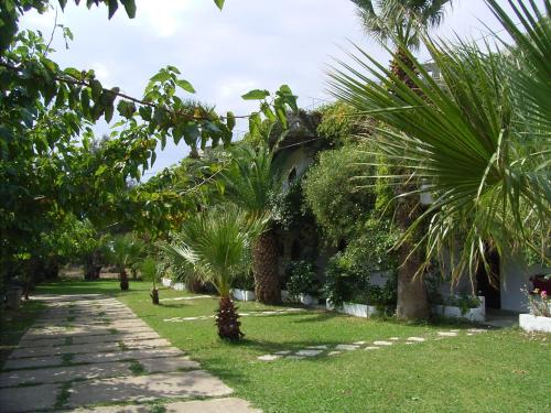 Damnoni Paradise - image 12