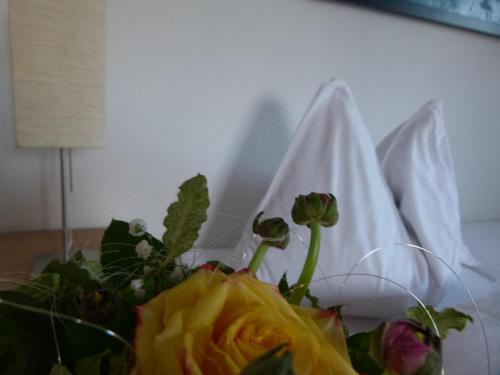 Hotel Fischachstubn – Bergheim, IA