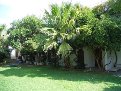 Damnoni Paradise - image 6
