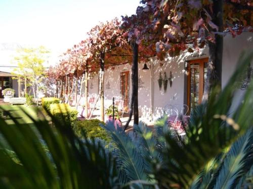 สวน, Villa ChoCoLatt Guest House and Porta Taverna Restaurant in พอร์เตอร์วิลล์