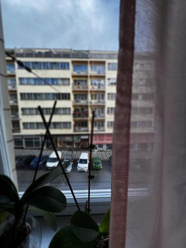 Kamenicka new!, Prag (Foto 4)