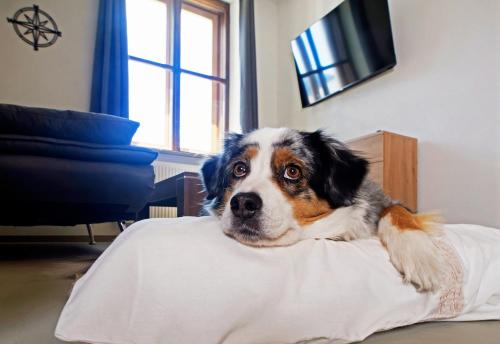 Hotel Bayerisch Meran Room Type - Apartment