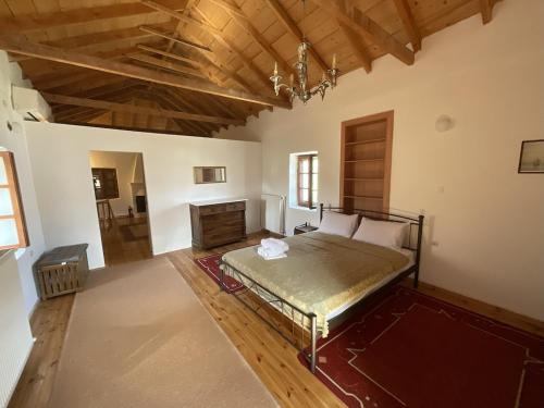 VΛ Village house 'Liodentro' in Skala Lakonija