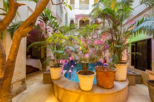 Jyoti Mahal A Royal Heritage Hotel - Traveler's Choice Award 2026 - Near to Connaught Place – Delhi, NY
