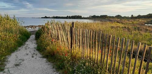 Ground floor apartment in center - Location saisonnière - Mèze
