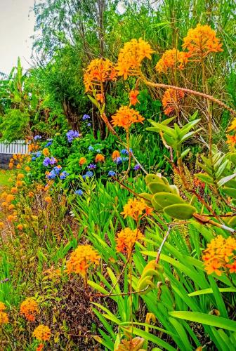 La Caz'Anna - Location saisonnière - Cilaos