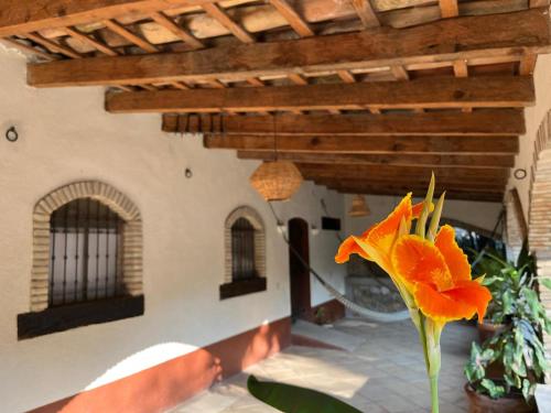 Viesnīcas āriene, Casa Rustica en la Reserva Tehuacán-Cuicatlán (Casa Rustica en la Reserva Tehuacan-Cuicatlan) in Santo Domingo Yanhuitlán