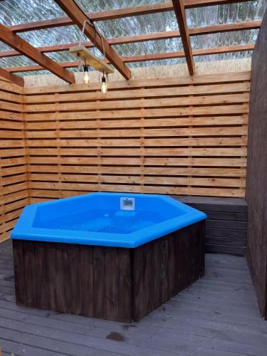 泳池, Pucón REC-Lodge Cabañas Las Bandurrias (Pucon REC-Lodge Cabanas Las Bandurrias) in 坎德拉里亞