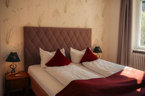 Altes Forsthaus - Fewo Hasenhorn , mit privater Sauna, Todtnau- Feldberg - Apartment - Todtnau