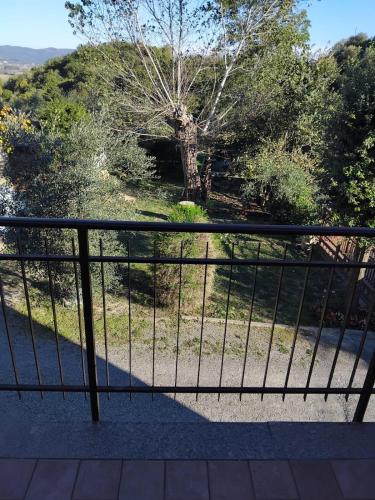 Casa vacanze La Vigna in กีอูซี่