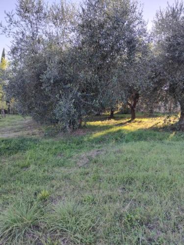 Casa vacanze La Vigna in กีอูซี่