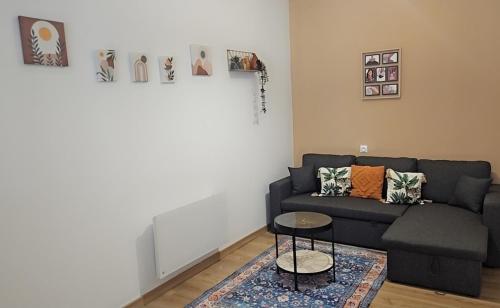 Charmant appartement spacieux & confortable - Location saisonnière - Charleville-Mézières