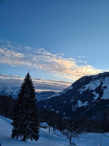 Közeli látványosságok, Baita Pra Petina Pale di San Martino in Siror