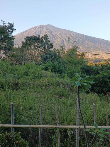 Mount Rinjani Guest House in Sembalun