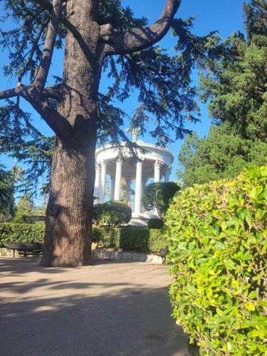 Apartment nice view near Musée Archéologique de Nice-Cimiez