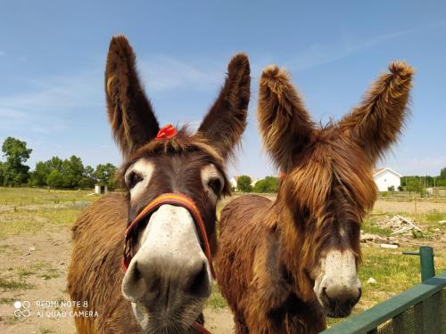 Casa Vitral - Stained Glass House in Miranda Do Douro