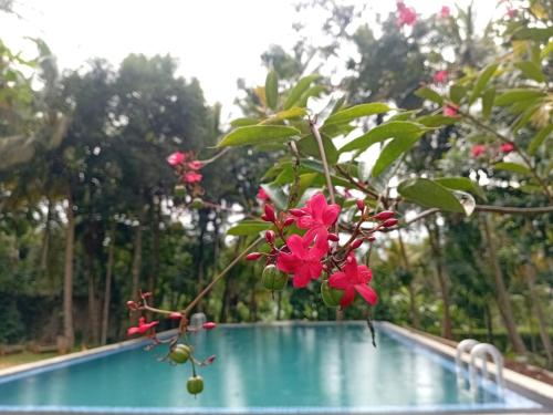 Villa Kengalle  in Pallekele