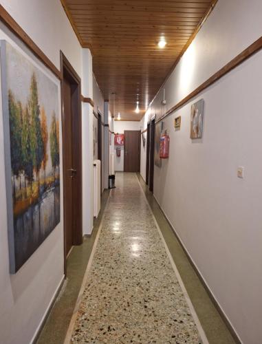 Ermis Hotel in 史蒂姆法利亞