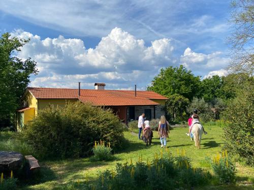 Foto - Casa Das Palmeiras-Pedagogic Farm