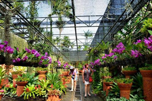 Eastiny Resort & Spa Eastiny Resort & Spa