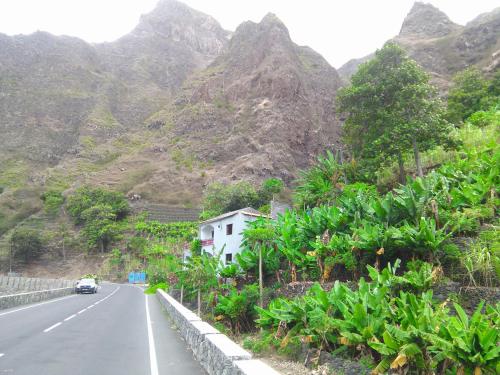 สภาพแวดล้อมโดยรอบ, Damontanha in จาเนลา