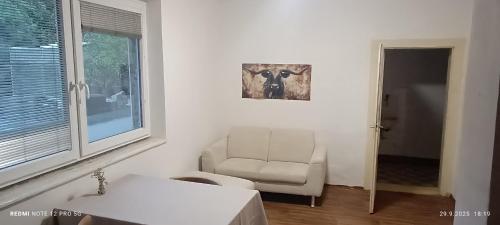accommodation in the center of Brno in ซิเดนิเซ