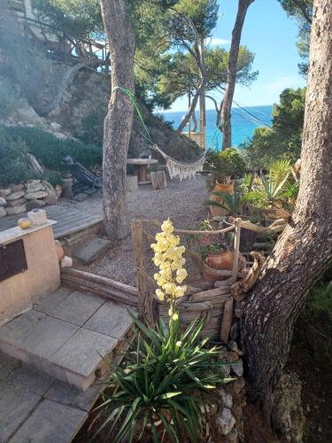 Villa Calanques