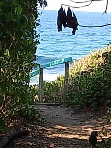 Milkwood Haven in 彭寧頓