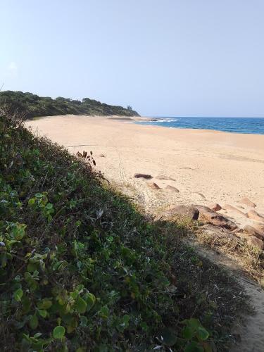 Milkwood Haven in 彭寧頓