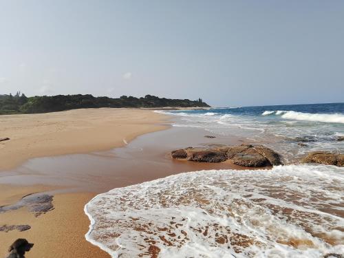 Milkwood Haven in 彭寧頓