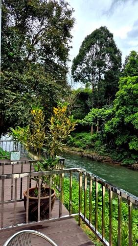 考索（素叻他尼） The River khaosok 酒店 客房