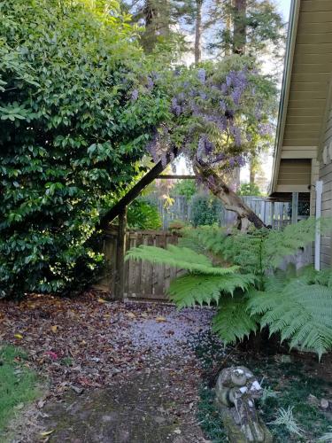 Hawkings Lodge in Kerikeri
