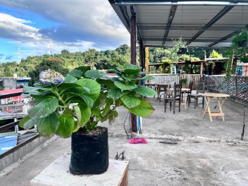 Pemandangan, Hospedaje la estrella del lago in San Juan La Laguna