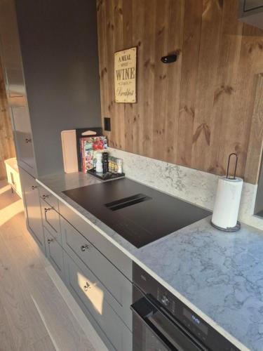 Modern mountain cabin with panorama view- Special offer summer 2026 for longer stay in Eggedal