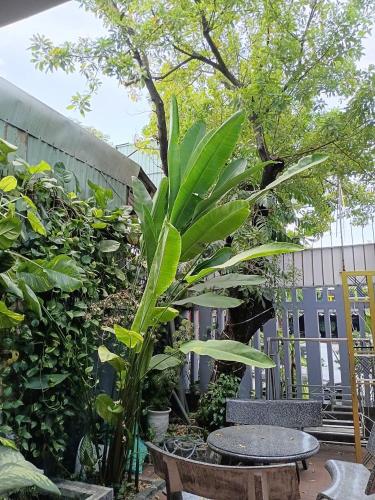 Cát Tường Homestay – Da Nang, MN