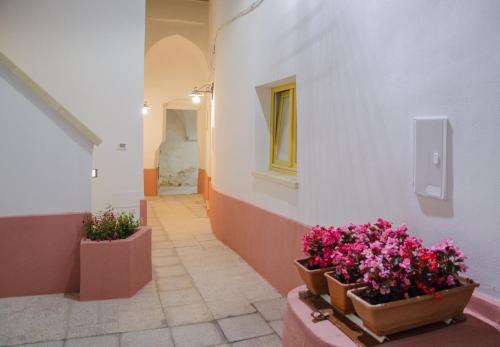  Affittacamere Corte Marchese, Pension in Presicce